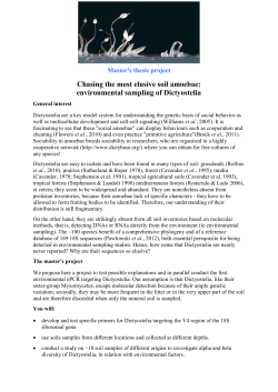 Chasing the most elusive soil amoebae: environmental sampling of
