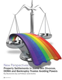 New Perspectives: Property Settlements in Same Sex Divorces