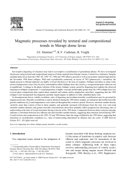 Magmatic processes revealed by textural and compositional trends