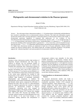Phylogenetics and chromosomal evolution in the Poaceae (grasses)