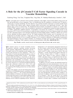 A Role for the &szlig;-Catenin/T-Cell Factor Signaling Cascade in