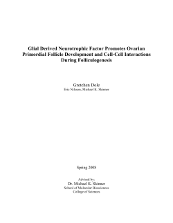 Glial Derived Neurotrophic Factor Promotes Ovarian Primordial