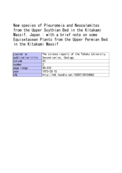Upper Scythian Bed in the Kitakami Massif, Japan