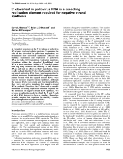 5 cloverleaf in poliovirus RNA is a cisacting replication element