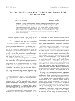 Why Does Social Exclusion Hurt?