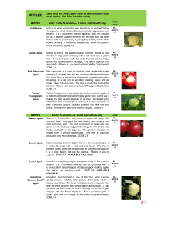 APPLES V-1 - Grandpa`s Orchard