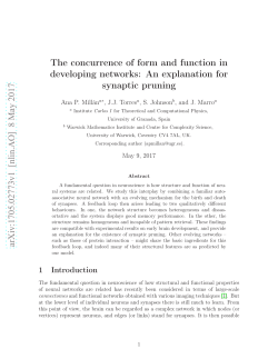The concurrence of form and function in developing networks: An