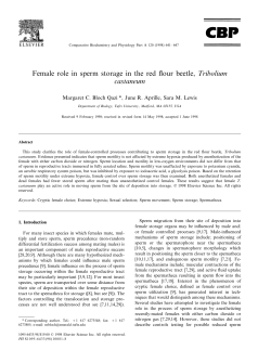 Female role in sperm storage in the red flour beetle