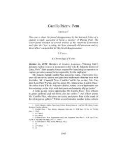 Castillo P&aacute;ez v. Peru