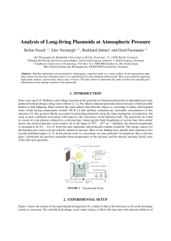 Analysis of Long-living Plasmoids at Atmospheric Pressure