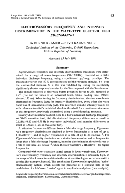 electrosensory frequency and intensity discrimination in the wave