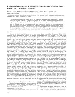 Evolution of Genome Size in Drosophila. Is the Invader`s Genome