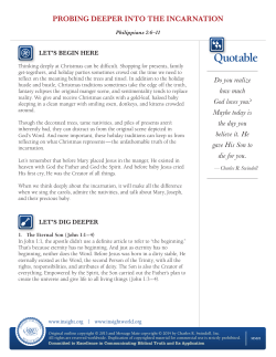 PROBINg DEEPER INTO ThE INCARNATION