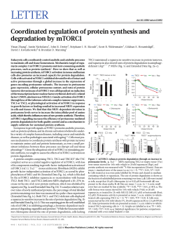 Coordinated regulation of protein synthesis and degradation by