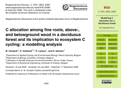 Modelling C allocation for a deciduous forest