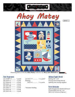Ahoy Matey - Studio E Fabrics