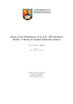 Monte Carlo Simulations of an F0F1 ATP Synthase Model: A Study