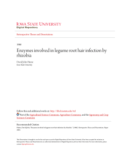 Enzymes involved in legume root hair infection by rhizobia