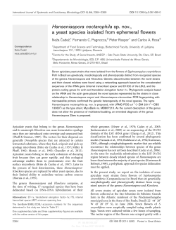 Hanseniaspora nectarophila sp. nov., a yeast species isolated from