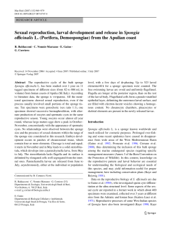 Sexual reproduction, larval development and release in