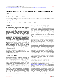 Hydrogen bonds are related to the thermal stability of 16S rRNA