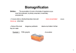 Biomagnification