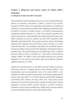 Chapter 2. Biogenesis and nuclear export of cellular mRNA transcripts