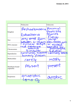 Prokaryotes Eukaryotes Kingdom Size DNA structure Chromosomes