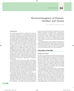 Electroretinogram of Human, Monkey and Mouse
