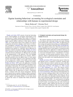sdarticle horse learning