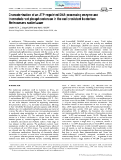 Characterization of an ATP-regulated DNA