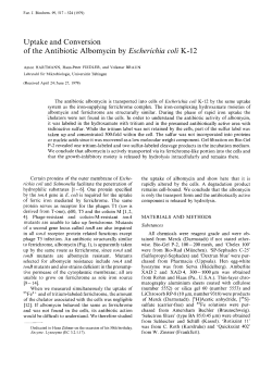 Uptake and Conversion of the Antibiotic Albomycin b! Esc h er ich ia