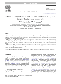 Effects of temperature on cell size and number in the yellow dung fly