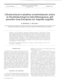 Full text in pdf format