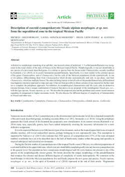 Description of coccoid cyanoprokaryote Nisada stipitata
