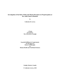 Investigation of the Role of Skin and Muscle Receptors