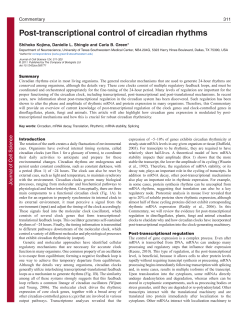 Post-transcriptional control of circadian rhythms