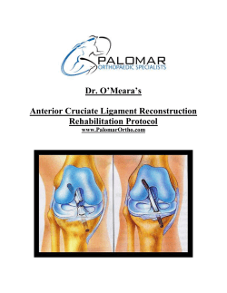 Ant Cruciate Ligament Rehab