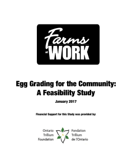 Egg Grading for the Community: A Feasibility Study