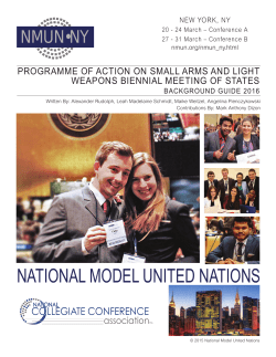 2016 PoA SALW Background Guide - National Model United Nations
