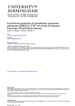 Functional analysis of xenobiotic response elements (XREs) in CYP