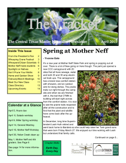 Spring at Mother Neff - Texas Master Naturalist
