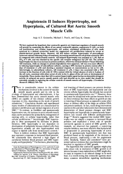 Angiotensin II Induces Hypertrophy, not Hyperplasia, of Cultured Rat