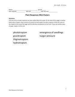 phototropism emergence of seedlings gravitropism turgor pressure