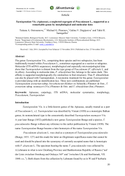 Taeniopetalum Vis. (Apiaceae)
