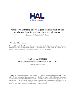 Receptor clustering affects signal transduction at the membrane