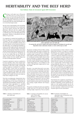 heritability and the beef herd - American Highland Cattle Association