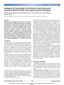Angiogenin Is Translocated to the Nucleus of