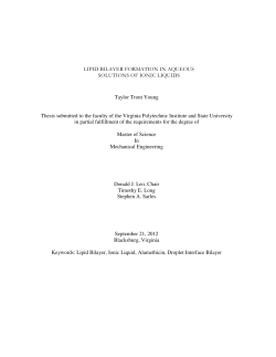 LIPID BILAYER FORMATION IN AQUEOUS SOLUTIONS OF IONIC