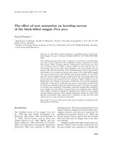 The effect of nest usurpation on breeding success of the black